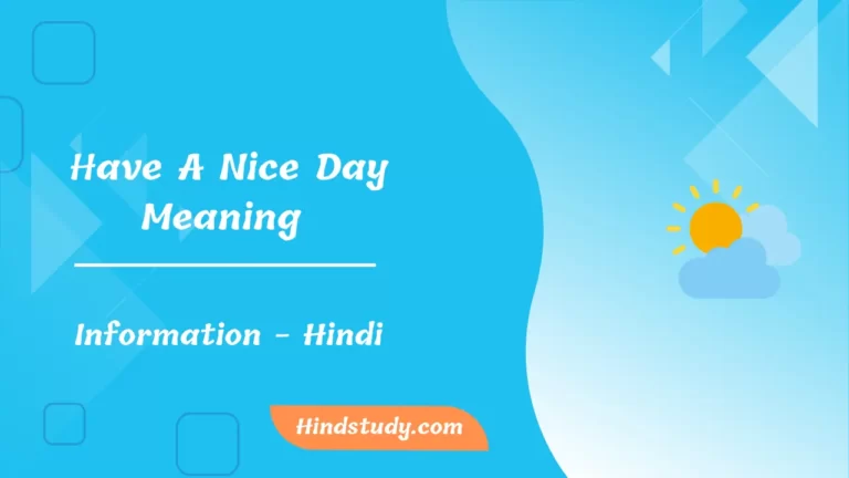 Have A Nice Day Meaning In Hindi